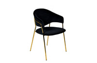 Modrest Trevor Modern Black Velvet & Gold Dining Chair (Set of 2)