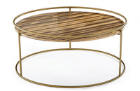 Modrest Gilcrest Glam Brown and Gold Marble Coffee Table