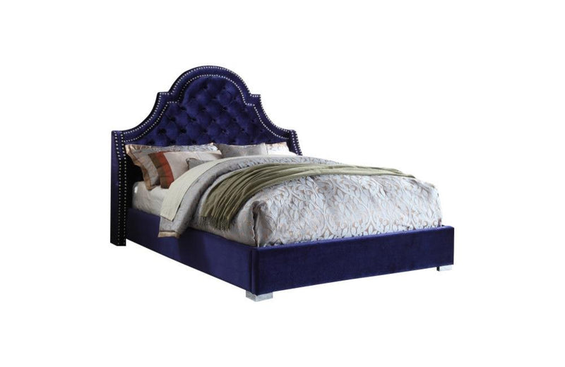 Dagwood Navy Bed