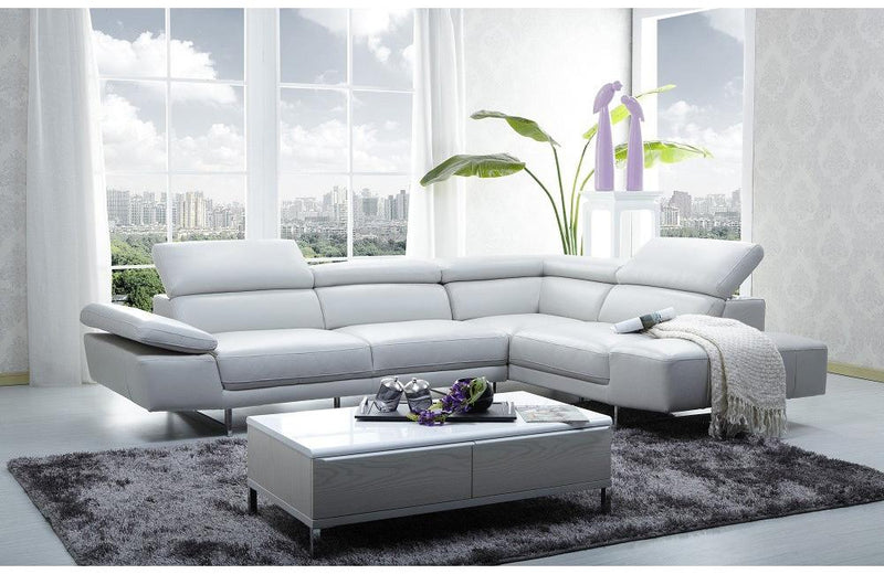 Fisk Leather Sectional Sofa