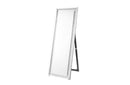 Contemporary Standing Full length Mirror in Clear