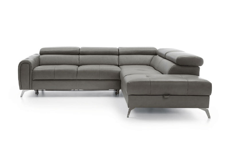 Camelia Sectional Sofa Bed with Storage