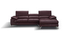 RIALTO Maroon Premium Leather Sectional Sofa