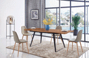Peyton Modern Dining Set