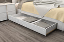 Elma White Storage Bed