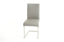 Havel Gray Leather Modern Dining Chair (set of 2)