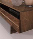 Braydon Modern Curio