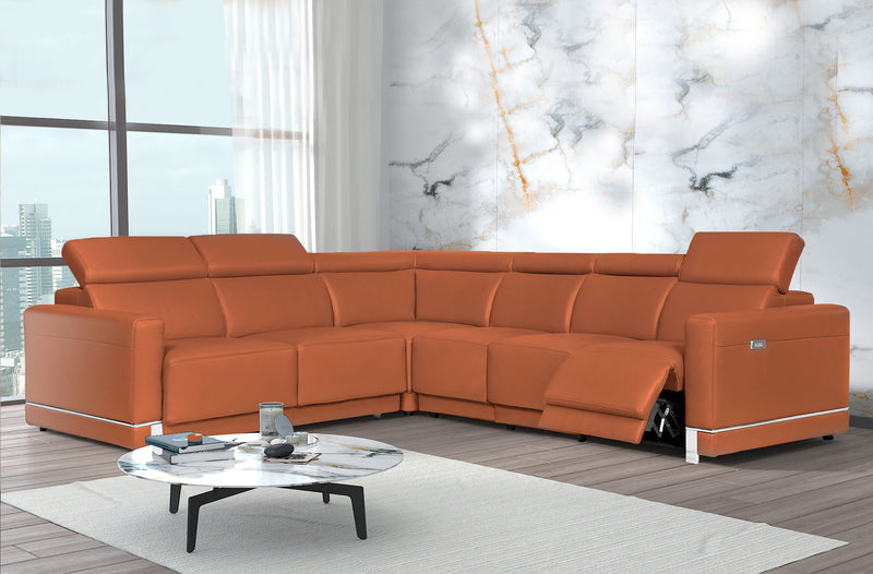 Marburg Brown Leather Sectional with 1 recliner