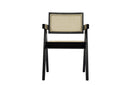 Modrest Aurora Modern Rattan and Wenge Dining Arm Chair