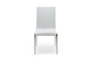 Taryn Modern White Dining Chair (Set of 2)
