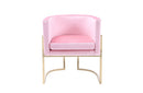 Modrest Betsy Modern Pink Velvet + Gold Kids Chair