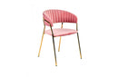 Modrest Brandy Modern Pink Fabric Dining Chair (Set of 2)