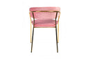 Modrest Brandy Modern Pink Fabric Dining Chair (Set of 2)
