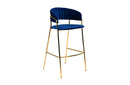 Modrest Brandy Modern Blue Fabric Bar Stool (Set of 2)