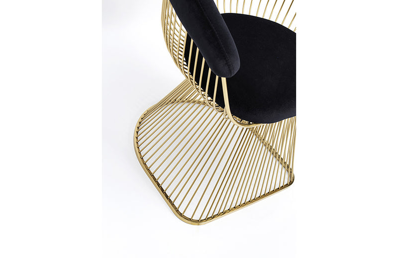 Modrest Chandler Black Velvet & Gold Dining Chair